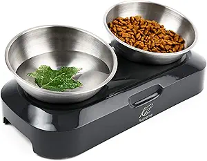 Tilted Anti-Vomit Cat Bowls