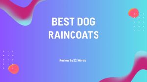 Top-Rated Dog Raincoats to Keep Your Pup Dry and Stylish