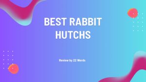 Top Rabbit Hutches to Buy Now for Your Furry Friends